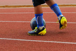 华体会真人-CBA新赛季全面开打各队实力全面升级，cba新赛季有哪些球队